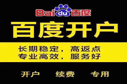 成功案例揭秘：信息流开户返点的成功之道